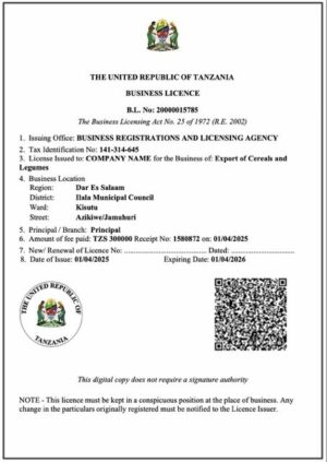 Tanzania business license Word and PDF template