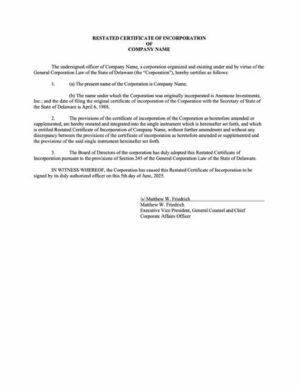 USA Delaware certificate of incorporation Word and PDF template