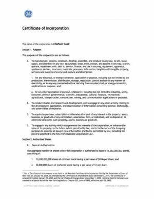 USA New York certificate of incorporation Word and PDF template