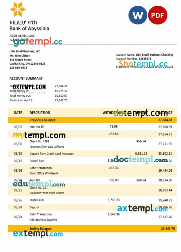 Bank of Abyssinia business bank statement Word and PDF format