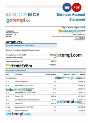 Chilean Banco Bice business firm account bank statement Word and PDF format