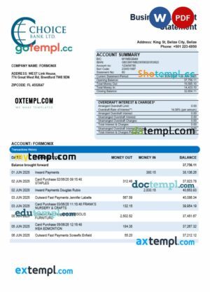 Choice Bank business firm statement Word and PDF format