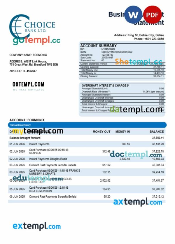 Choice Bank business firm statement Word and PDF format