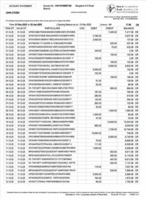 India Bharat Co-operative Bank account statement Word and PDF template