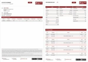 India IDFC First Bank Limited account statement Word and PDF template, 2 pages
