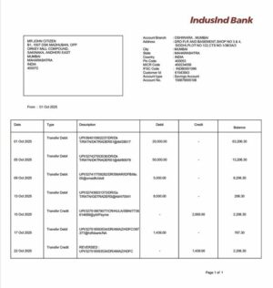 India IndusInd Bank account statement Word and PDF template