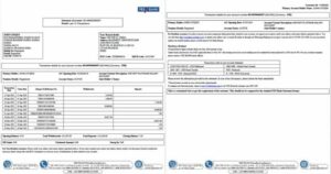 India Yes Bank statement of account Word and PDF template, 2 pages