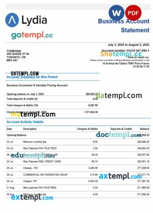 Lydia Noir bank business firm account statement Word snd PDF format