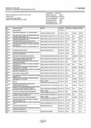 Nigeria Access Bank account statement Word and PDF template