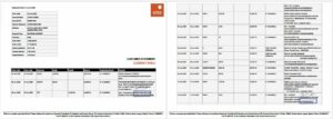 Nigeria Guaranty Trust Bank Plc account statement Word and PDF template, 2 pages