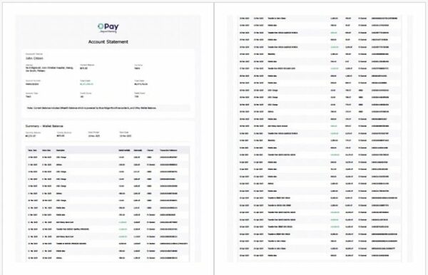 Nigeria Opay account statement Word and PDF template, 2 pages