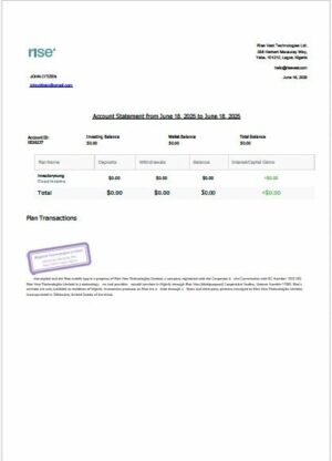 Nigeria Rise vest account statement Word and PDF template