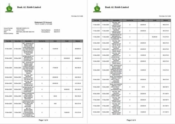 Pakistan Bank Al Habib statement of account Word and PDF template, 4 pages