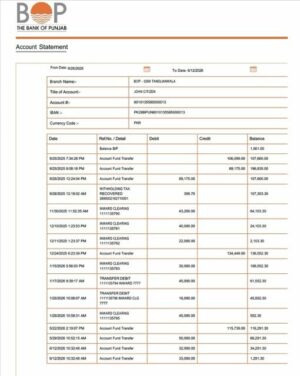 Pakistan Bank of Punjab account statement Word and PDF template