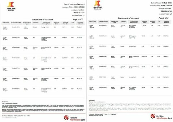 Pakistan Mobilink Microfinance Bank statement of account Word and PDF template, 2 pages
