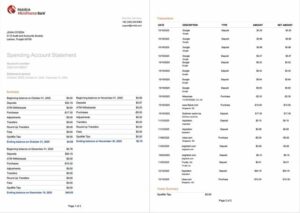 Pakistan Mobilink Microfinance Bank statement of account Word and PDF template, 2 pages, version 2