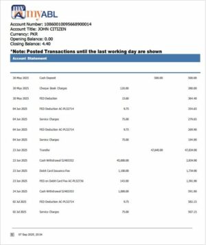 Pakistan Myabl account statement Word and PDF template