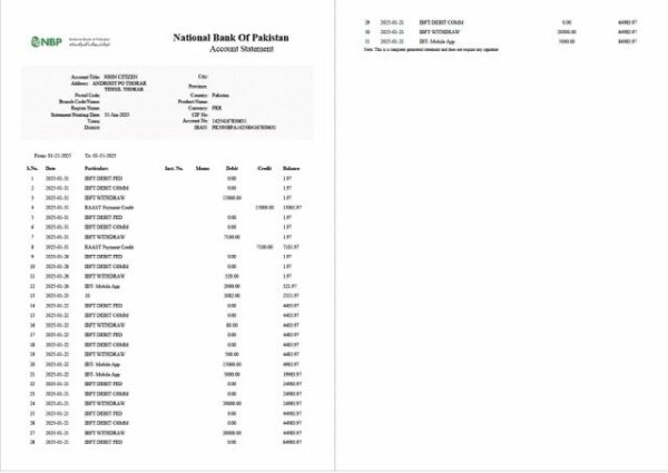 Pakistan National Bank of Pakistan account statement Word and PDF template, 2 pages