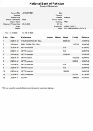 Pakistan National Bank of Pakistan account statement Word and PDF template, version 2