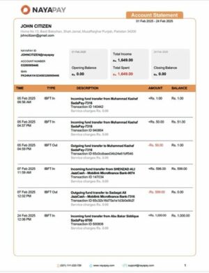 Pakistan NayaPay account statement Word and PDF template