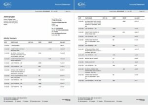 Pakistan United Bank Limited account statement Word and PDF template, 2 pages