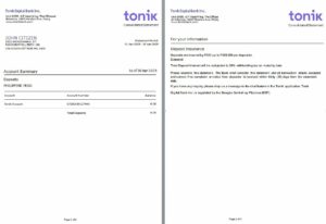 Philippines Tonik Digital Bank Inc. consolidated statement Word and PDF template, 2 pages
