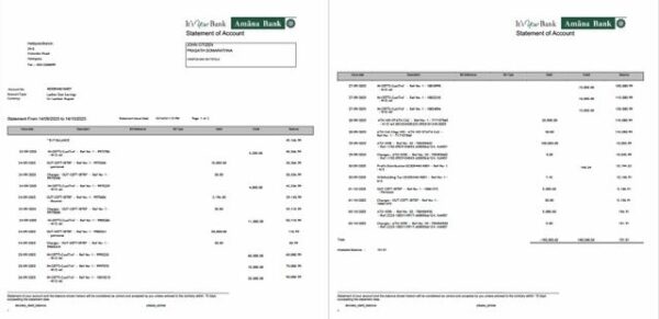 Sri Lanka Amana Bank statement of account Word and PDF template, 2 pages