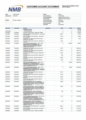 Tanzania NMB Bank account statement Word and PDF template
