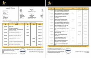 UAE Liv. Digital Bank statement of account Word and PDF template, 2 pages