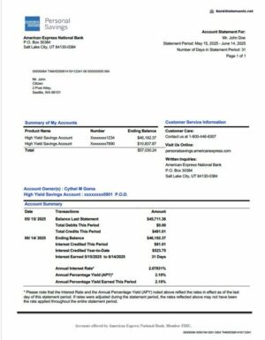USA American Express National Bank account statement Word and PDF template