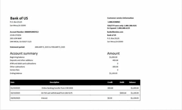 USA Bank of US account statement Word and PDF template