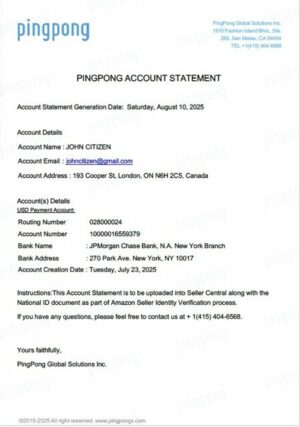 USA California PingPong Global Solutions Inc account statement Word and PDF template