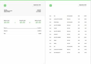 USA Cash App account statement Word and PDF template, 2 pages
