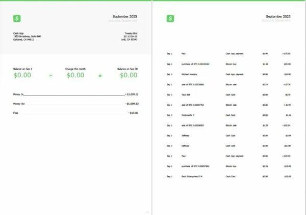 USA Cash App account statement Word and PDF template, 2 pages