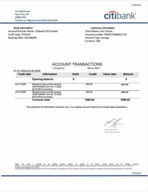 USA Citibank account statement Word and PDF template