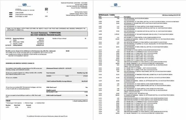 USA Fifth Third Bank account statement Word and PDF template, 2 pages
