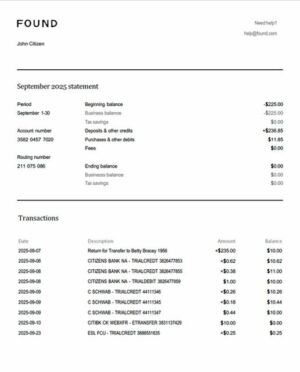 USA Found account statement Word and PDF template