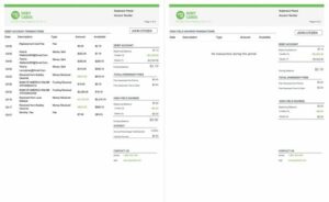 USA Green Dot account statement Word and PDF template, 2 pages