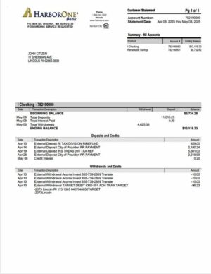 USA HarborOne Bank account statement Word and PDF template