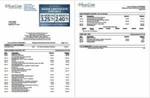USA TrueCore Federal Credit Union account statement Word and PDF template, 2 pages