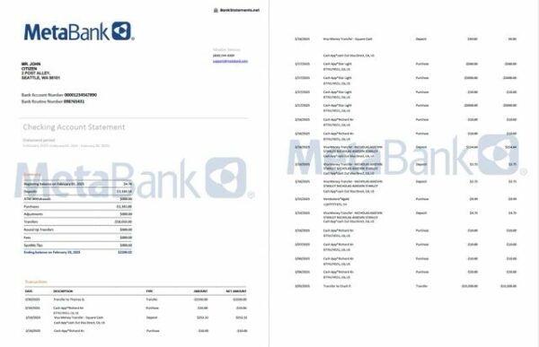 USA Washington Metabank account statement Word and PDF template, 2 pages