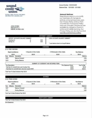 USA Washington Sound Credit Union account statement Word and PDF template