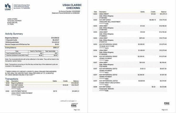 USAA Federal Savings Bank statement Word and PDF template, 2 pages
