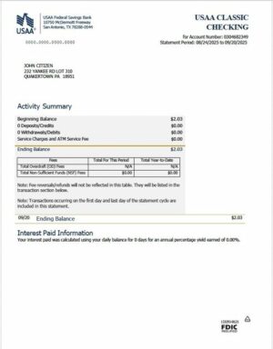 USAA Federal Savings Bank statement Word and PDF template, version 2
