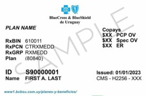Uruguay health insurance card template in PSD format
