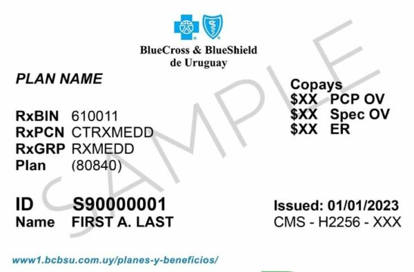 Uruguay health insurance card template in PSD format