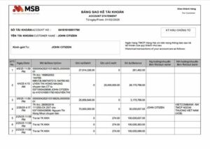 Vietnam MSB Bank account statement Word and PDF template