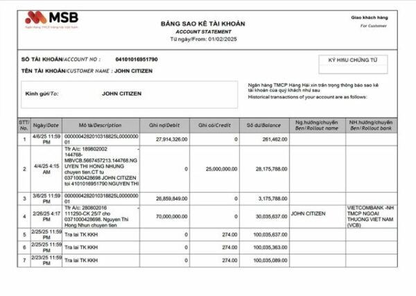 Vietnam MSB Bank account statement Word and PDF template