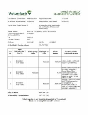 Vietnam Vietcombank statement of account Word and PDF template, version 2