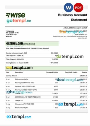 Wise company checking account statement Word and PDF template